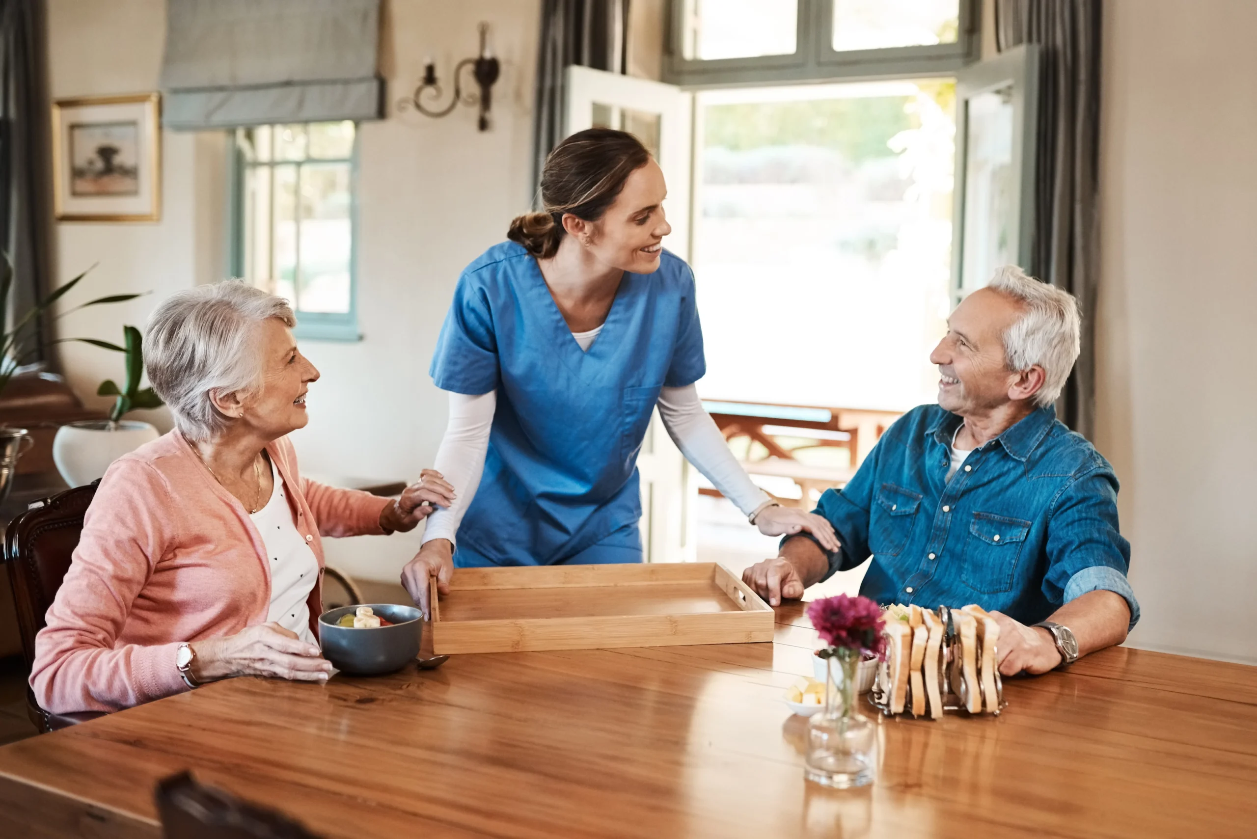 Non-Medical Home Care Services For Seniors Throughout The Greater Houston, Texas Metro
